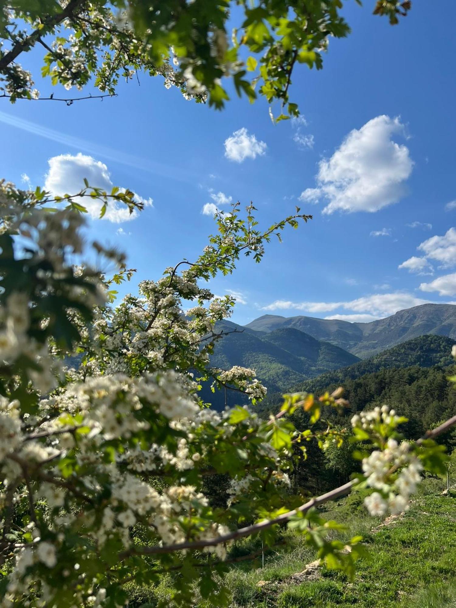 Вілла Can Sau Сан-Джоан-де-лес-Абадесес Екстер'єр фото